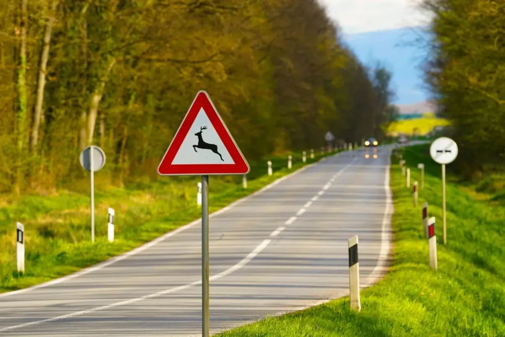 Panneau triangulaire rouge avec silhouette de cerf bondissant, image illustrant un panneau de signalisation avertissant d’une traversée de gibier.