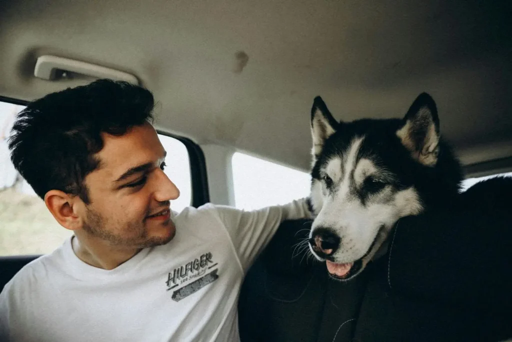 Husky noir et blanc allongé dans habitacle, image traduisant le transport d’un animal de compagnie en véhicule.