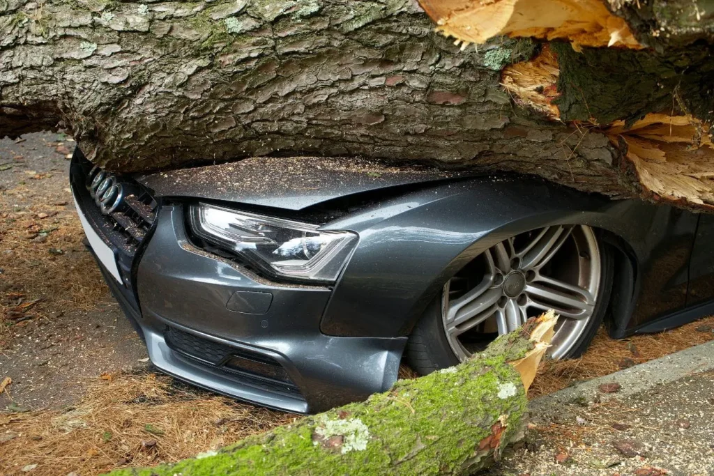 Arbre tombé écrasant l’avant d’une voiture, symbole de la procédure pour déclarer un sinistre auprès de son assurance auto.
