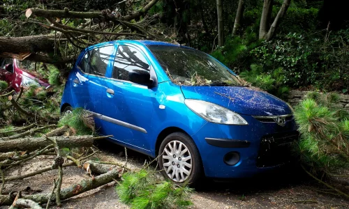 Voiture bleue endommagée par branches tombées, symbole des sinistres auto nécessitant remboursement rapide par assurance.